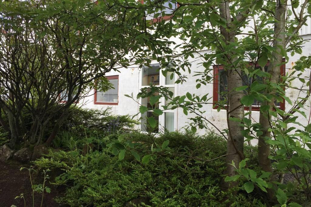 The Perfect Base In Torshavn Exterior photo